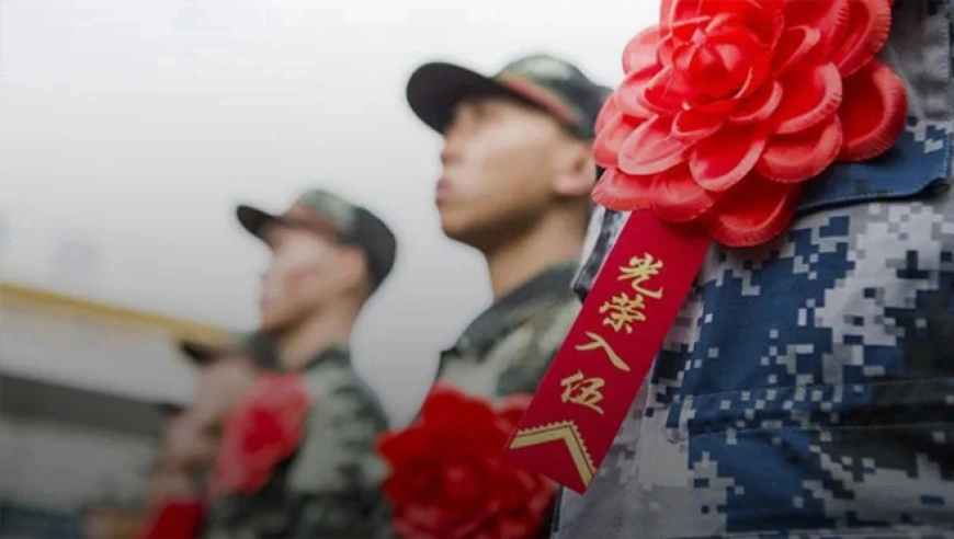 黄雀开始上尺度了,一肖一码特马今天买啥,作答解释落实的民间信仰_AndroidV3.80