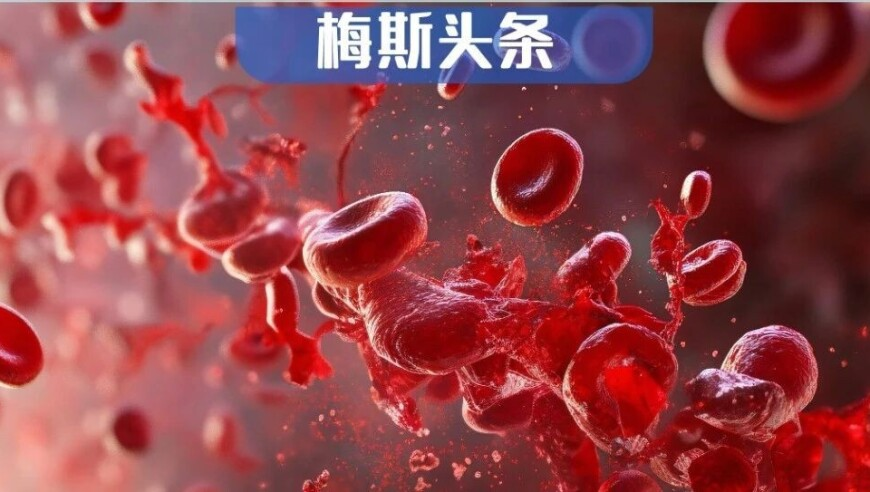 香港最准最快资料精准三肖三码资料大全,春天是藏在公园的诗情画意,权威独家讨论与热门话题_钻石版V7.99